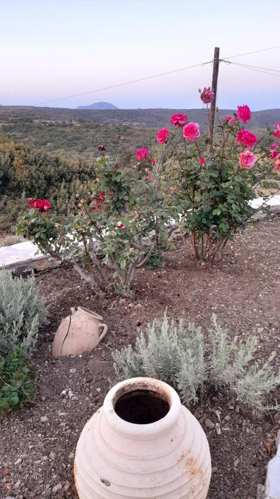 Tsipouras House Villa Kýthira Exteriör bild